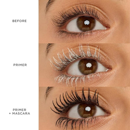 Buy One Get One Free - Tubing Mascara & Primer